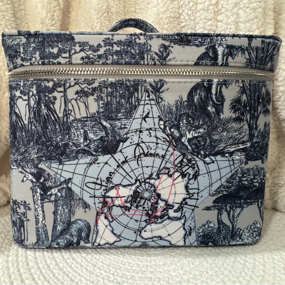 Women’s Dior Blue Toile Print Bag